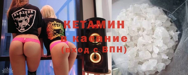 индика Алзамай