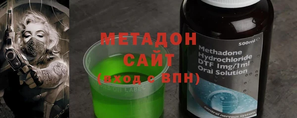 индика Алзамай