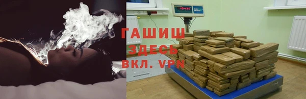индика Алзамай