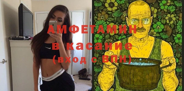 индика Алзамай