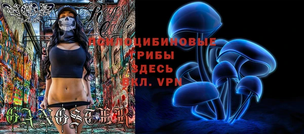индика Алзамай