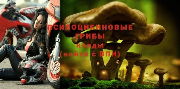 мдпв Алексин