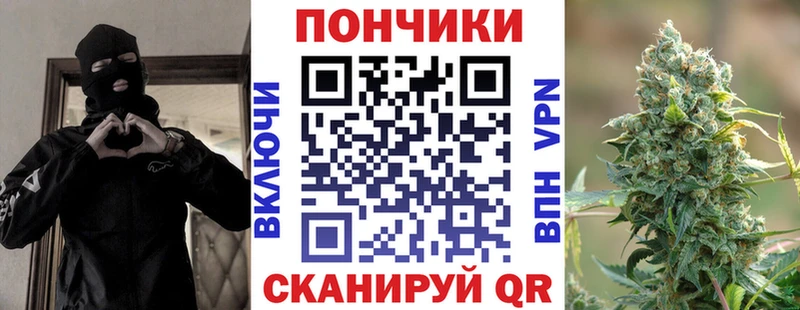 Бошки Шишки семена  хочу наркоту  Юрьевец 